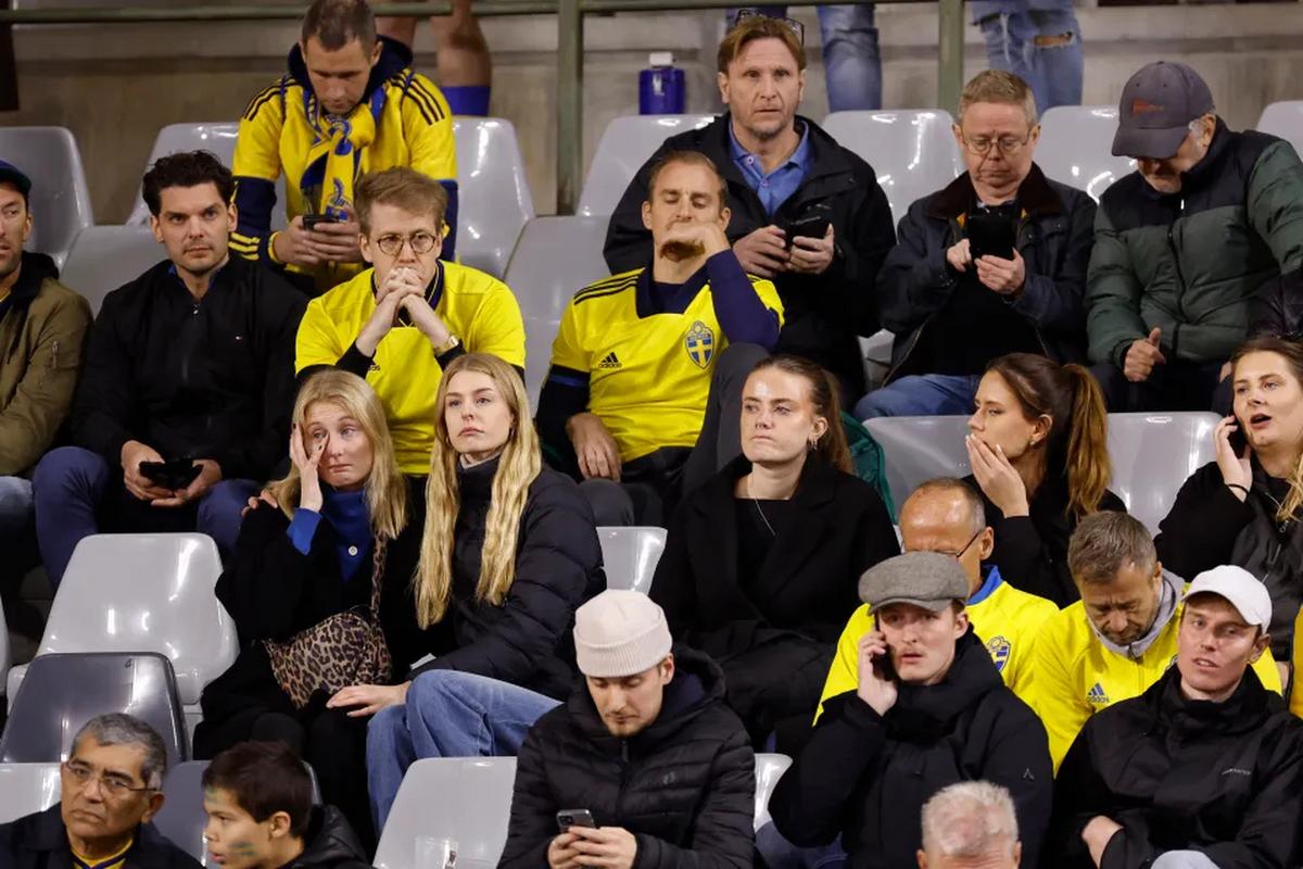 比利时瑞典比赛中断